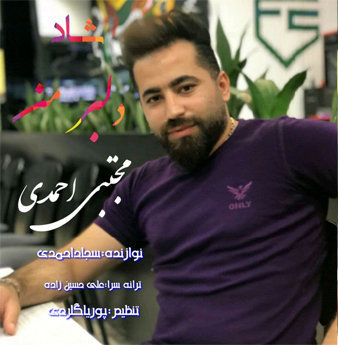 مجتبی احمدی دلبر من